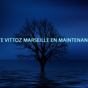 VITTOZ MARSEILLE
